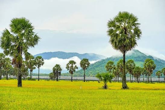 tuyen thue xe cho thuận an di an giang giá re